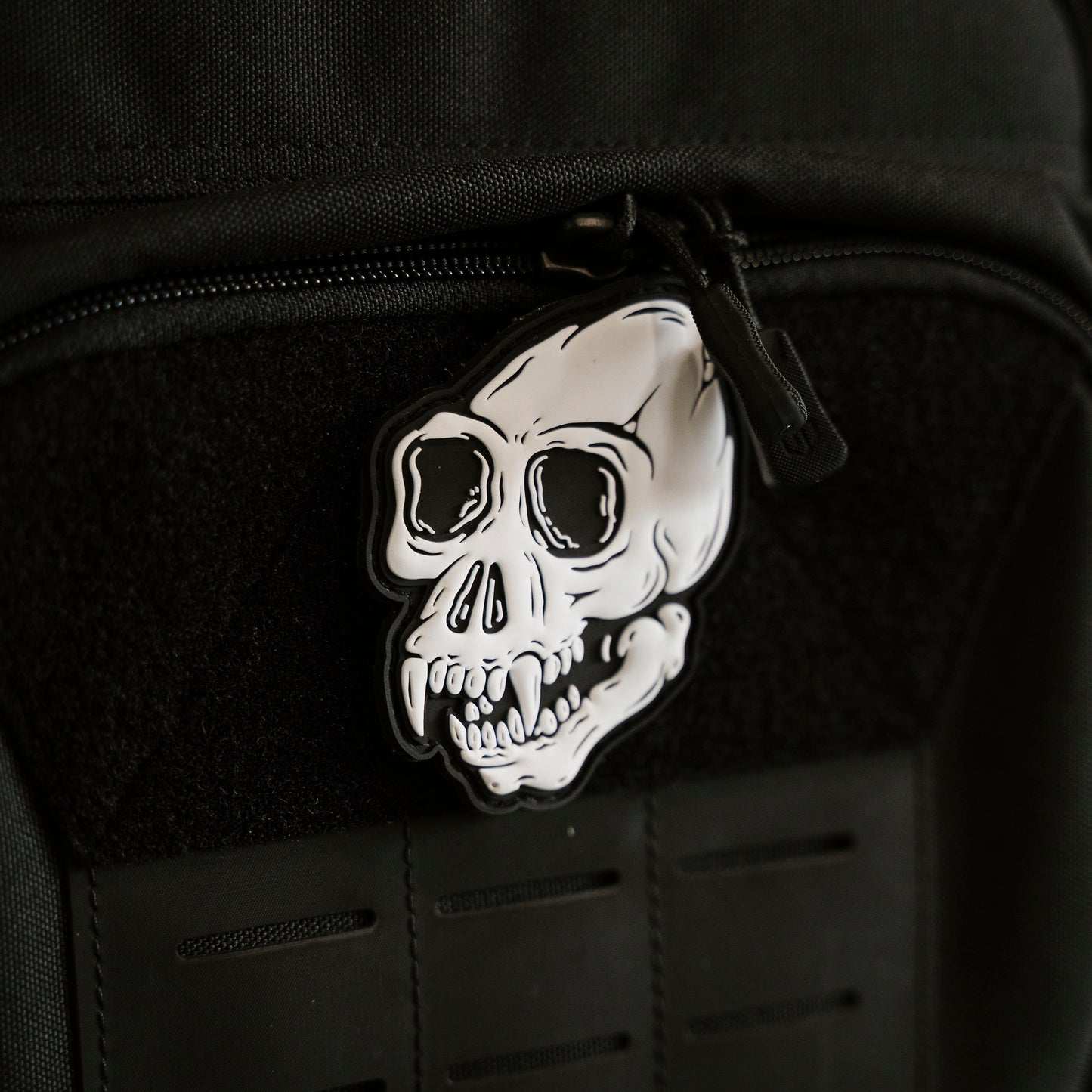 Monkey Skull Patch
