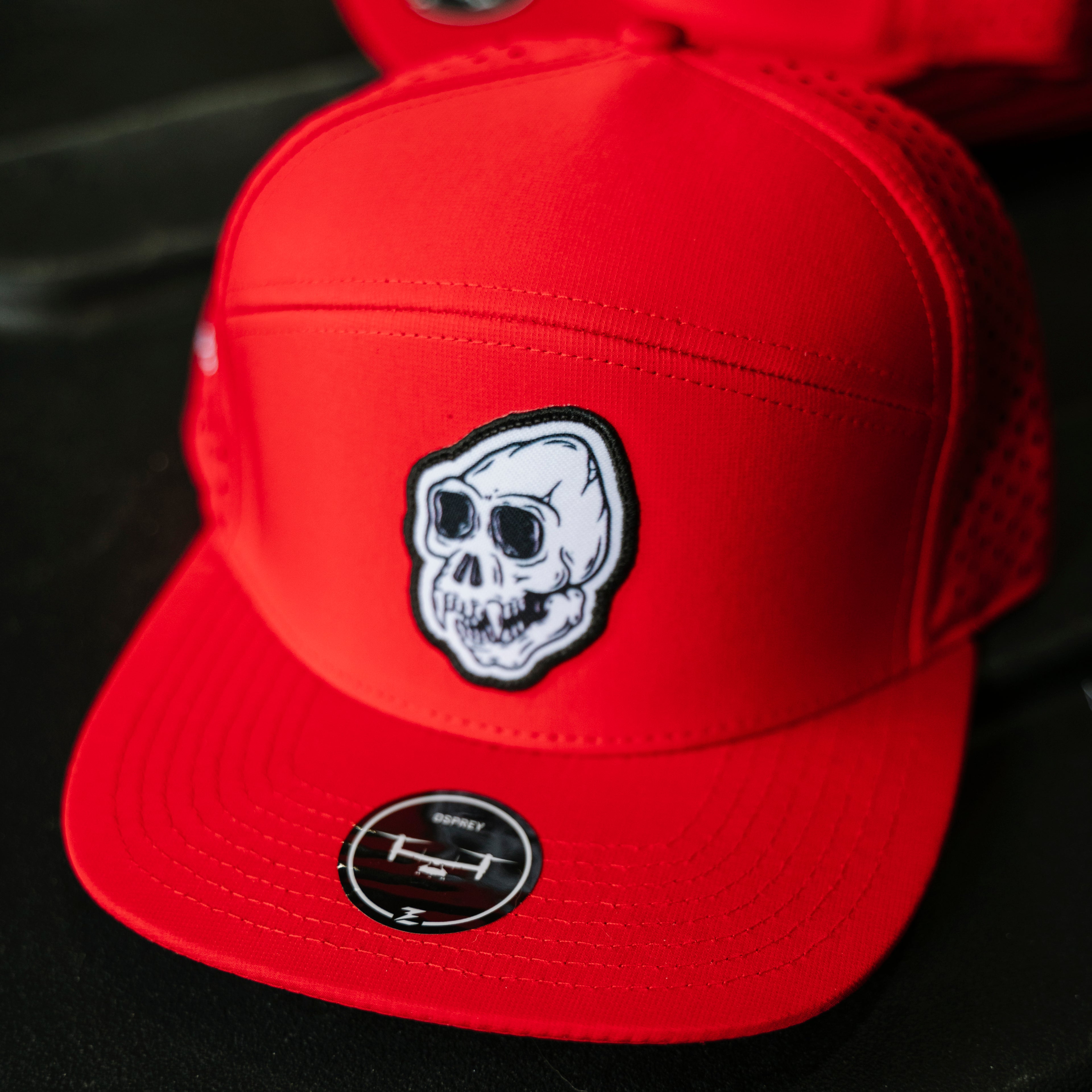 Iron Monkey Osprey 5 Panel Hat